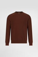 Regular Fit Crewneck Sweater