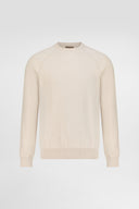 Regular Fit Crewneck Sweater