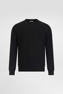 Regular Fit Crewneck Sweater