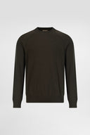 Regular Fit Crewneck Sweater