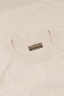 Regular Fit Crewneck Sweater