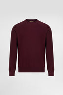 Regular Fit Crewneck Sweater