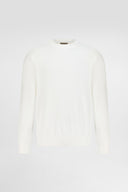 Regular Fit Crewneck Sweater